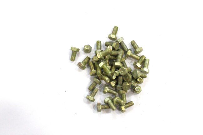 Ring Screw