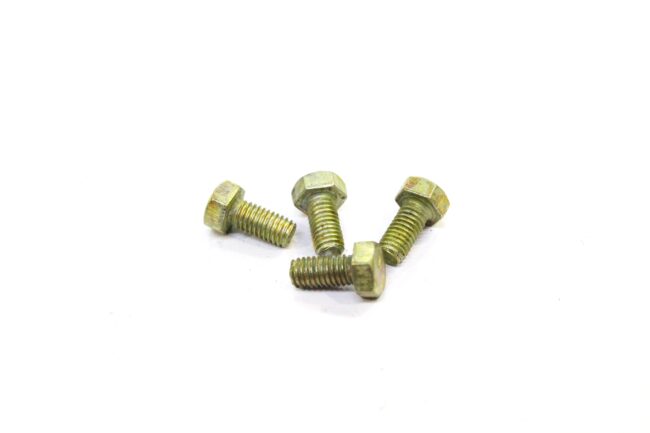 Ring Screw