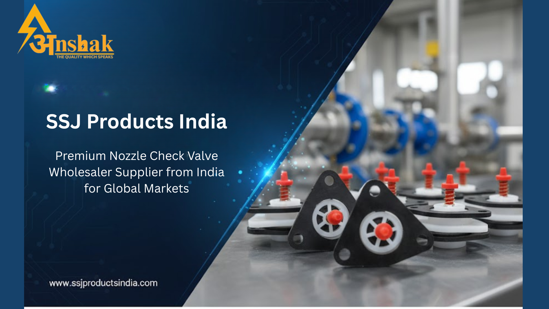 Nozzle Check Valve Wholesaler Supplier